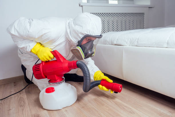 Emergency Pest Control Services in Lone Oak, TN